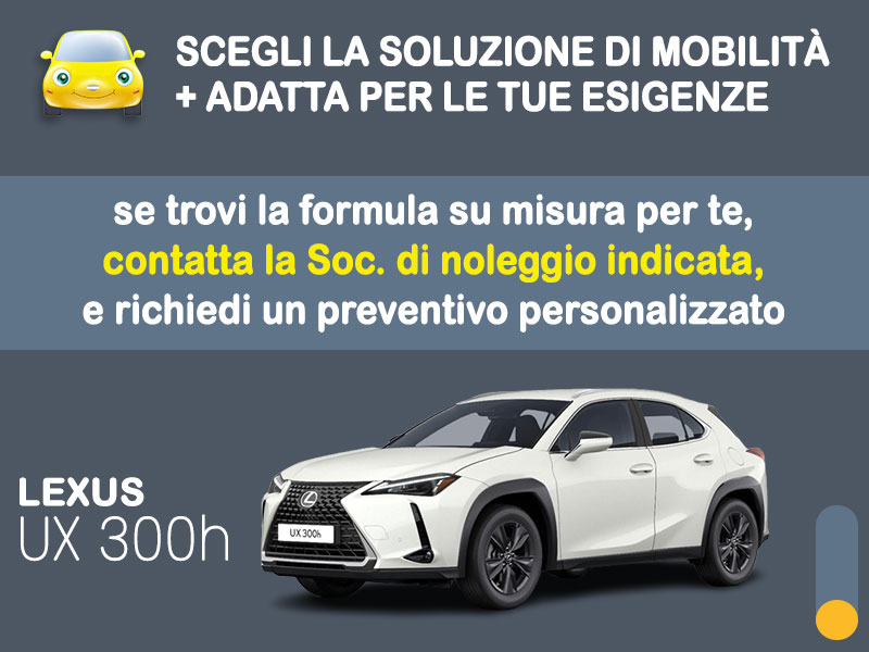 Offerta auto di vari segmenti Come noleggiare una nuova LEXUS a lungo termine: guida alle migliori soluzioni noleggio sul mercato, con info e indicazioni   foto 3