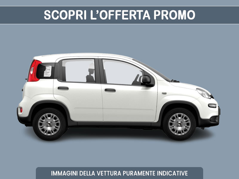 Offerta City car Noleggio FIAT PANDA 1.0 FireFly Hybrid: scopriamo l'offerta promossa dal broker Medicredit Rent, con 1° canone omaggio Ibrida - benzina (MHEV)  foto 6
