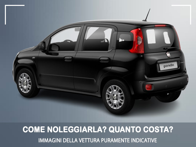 Offerta City car Noleggio auto in promozione: FIAT PANDA 1.0 FireFly Hybrid = l'offerta speciale del broker Medicredit Rent, con tariffa scontata Ibrida - benzina (MHEV)  foto 1