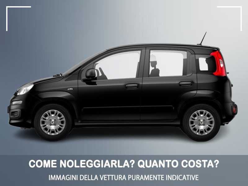 Offerta City car Noleggio auto in promozione: FIAT PANDA 1.0 FireFly Hybrid = l'offerta speciale del broker Medicredit Rent, con tariffa scontata Ibrida - benzina (MHEV)  foto 2