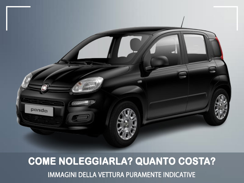 Offerta City car Noleggio auto in promozione: FIAT PANDA 1.0 FireFly Hybrid = l'offerta speciale del broker Medicredit Rent, con tariffa scontata Ibrida - benzina (MHEV)  foto 3