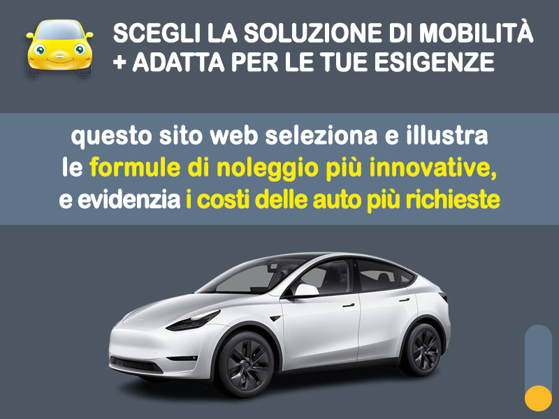 Offerta SUV e CrossOver Noleggio no scoring TESLA Model Y Long Range AWD: l'offerta 